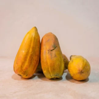 Papaya - Altunflora