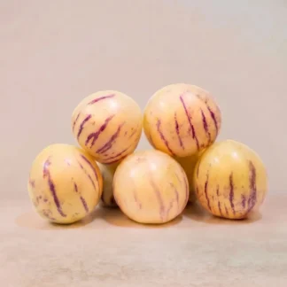 Pepino - Altunflora
